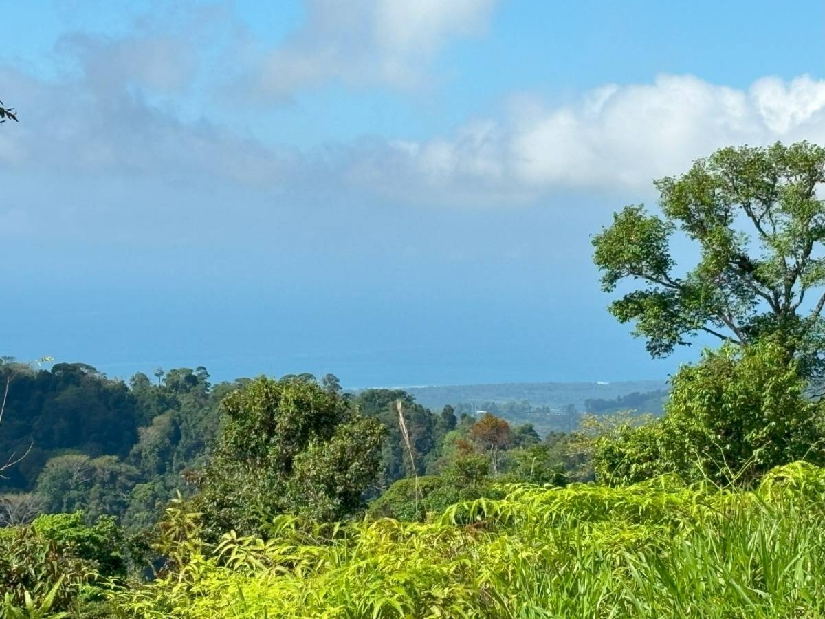 Finca en Savegre