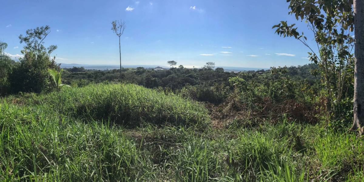 Property at Ojochal