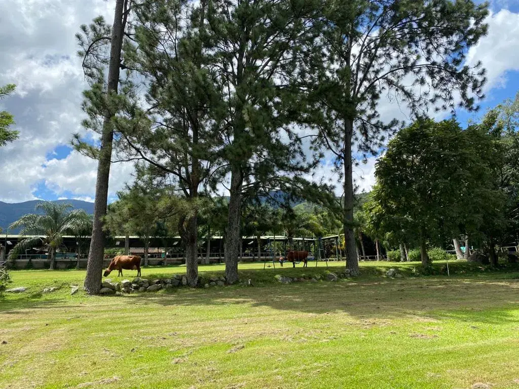 Terreno en Santa Ana
