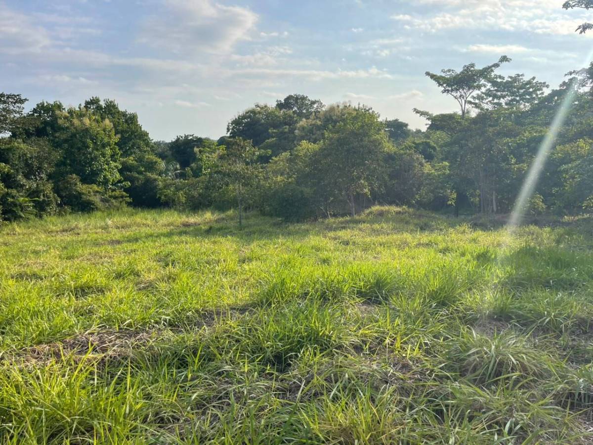 Propiedad en Costa Esterillos Estates