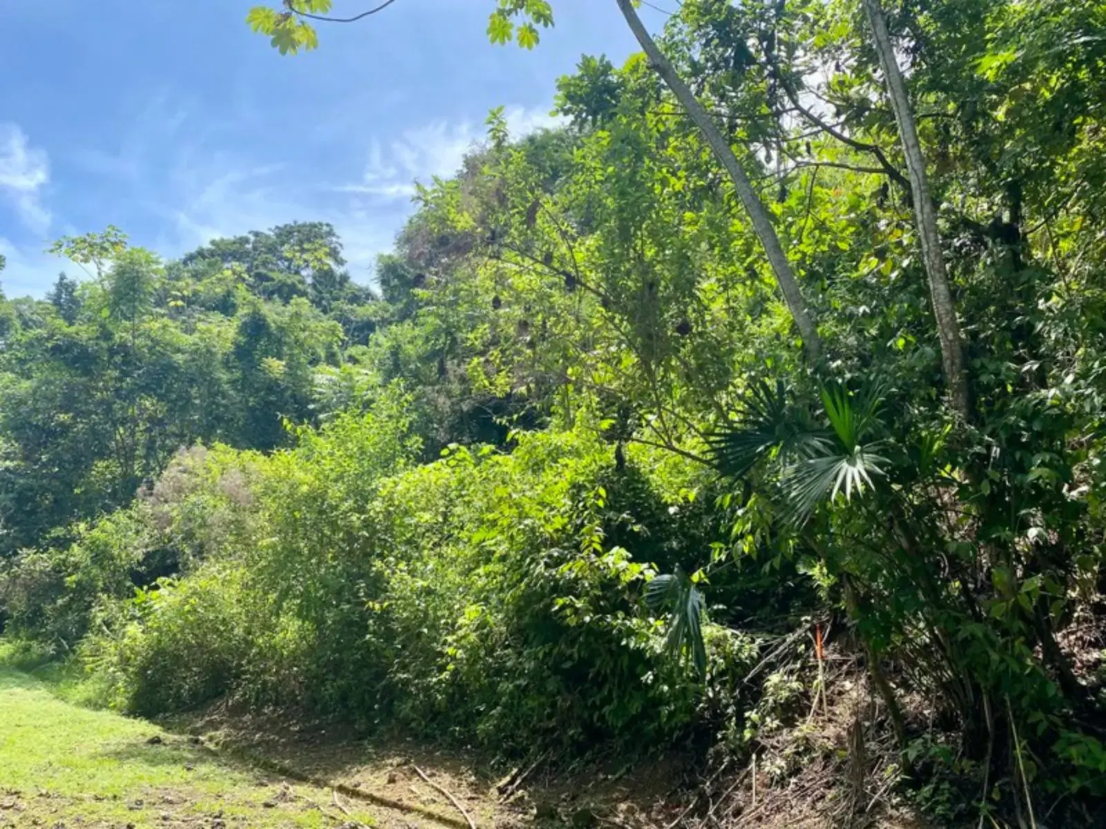 Terreno en Puerto Cortés