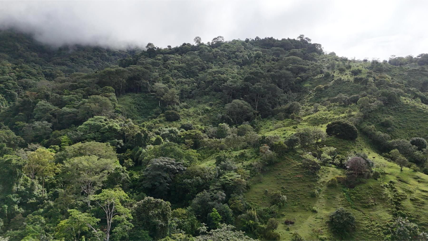 Terreno en Bahía Ballena