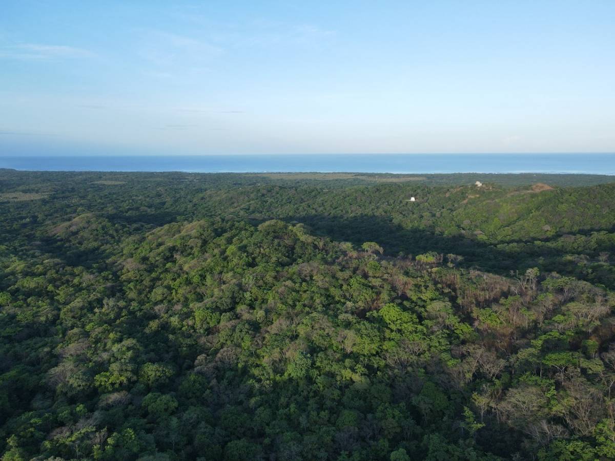 Property at Playa Negra