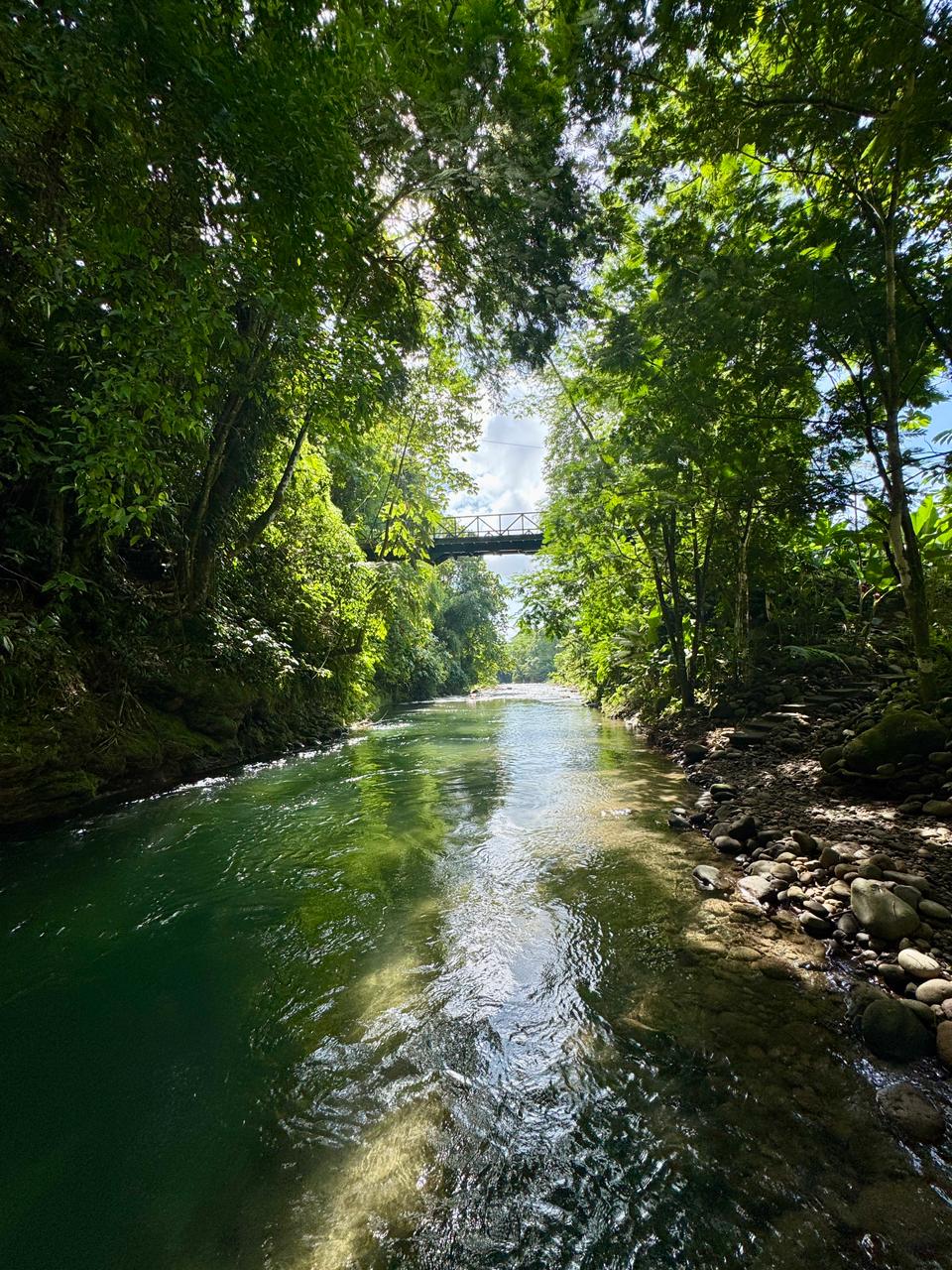 Finca en La Fortuna