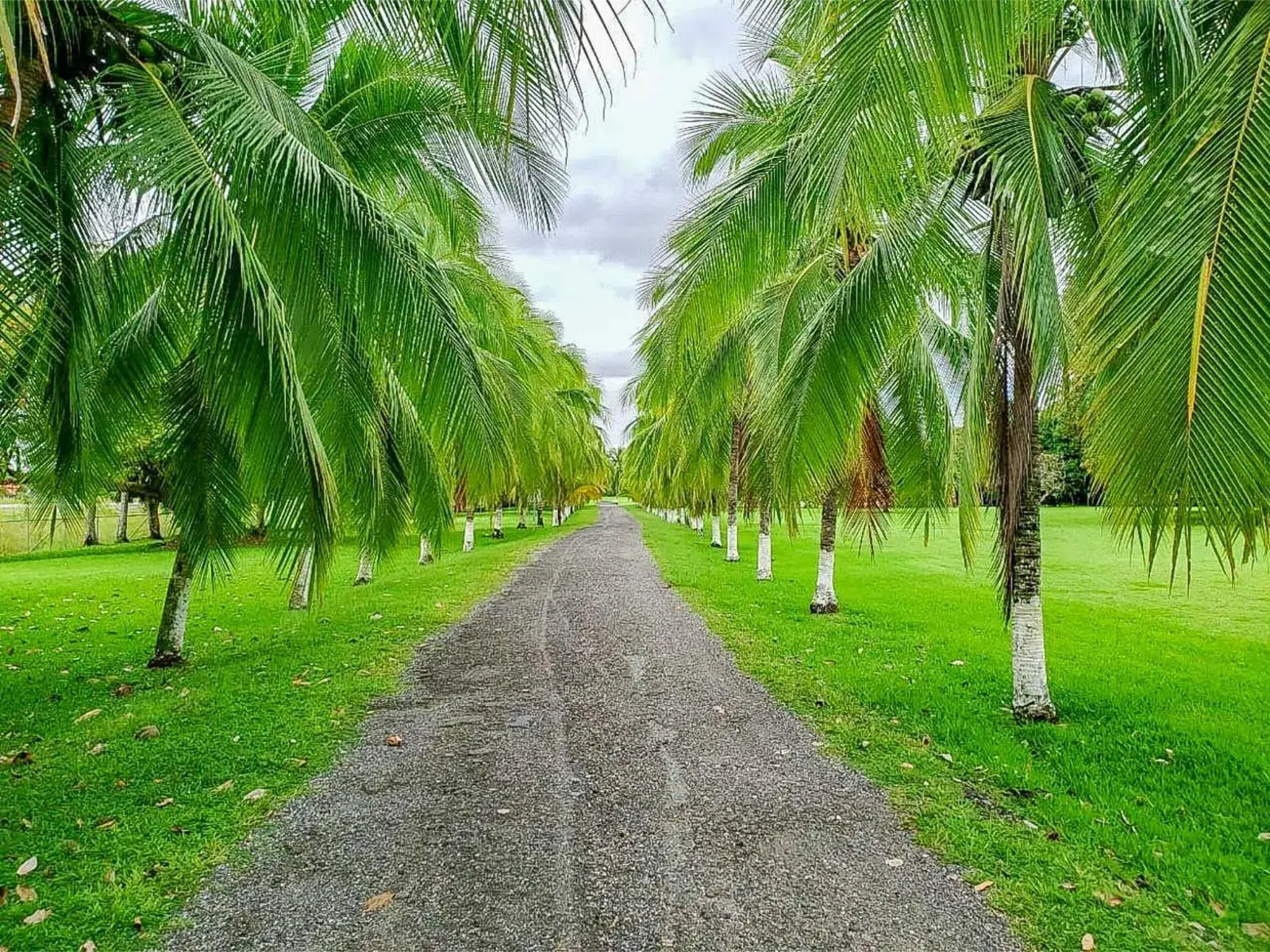 House at Puerto Cortés
