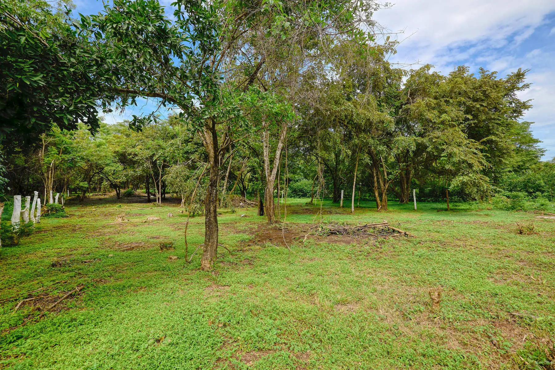 Terreno en Santa Cruz