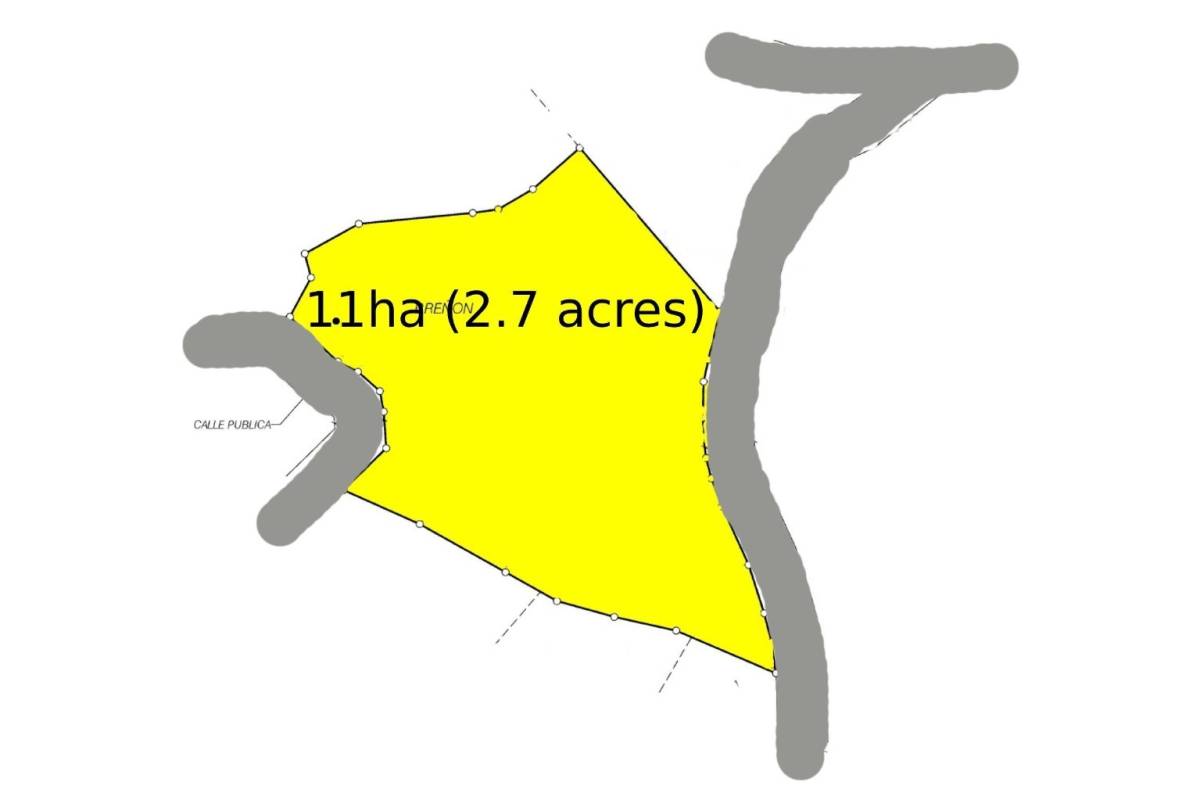 Estate at San Isidro del General