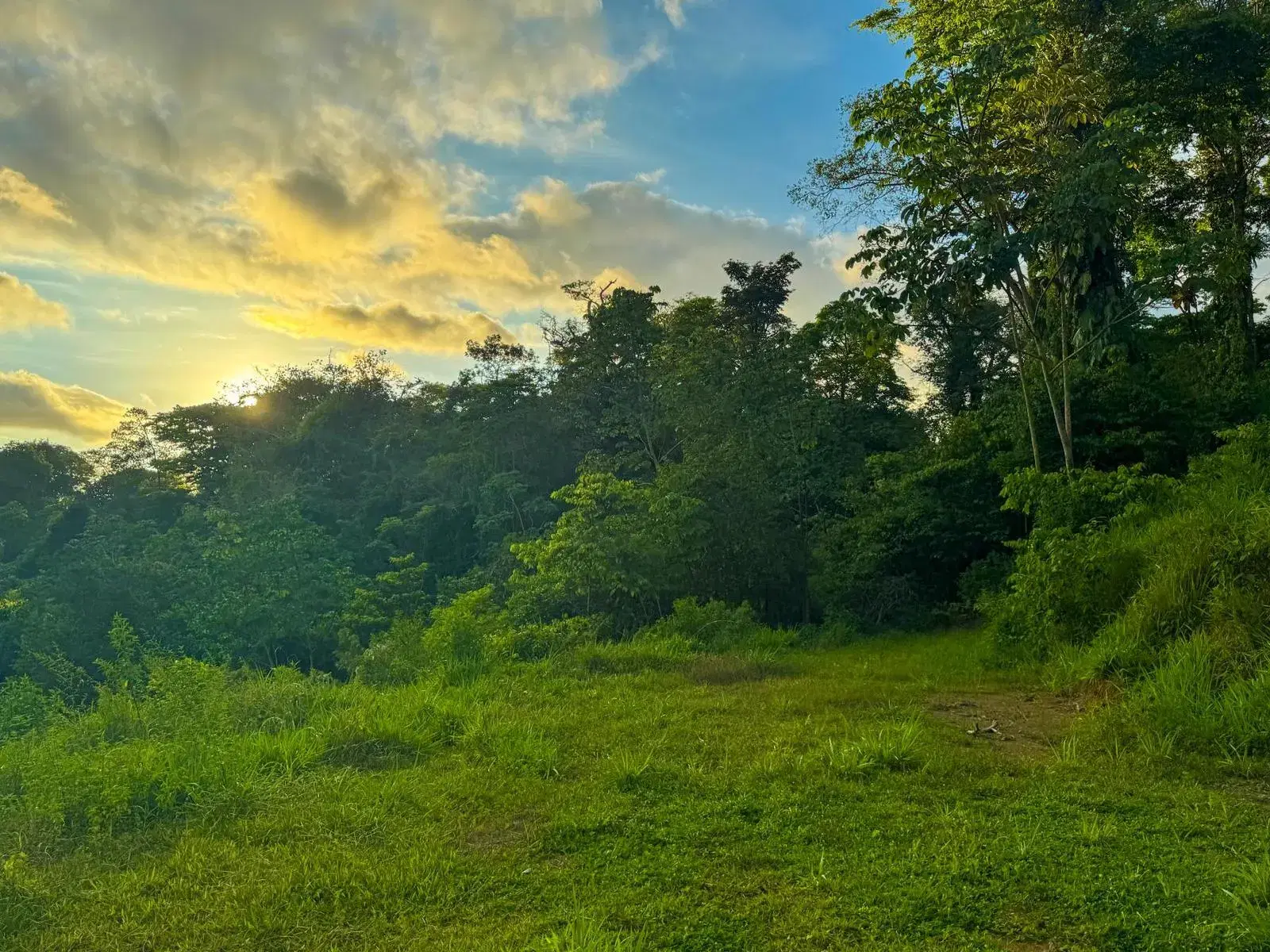 Terreno en Bahía Ballena