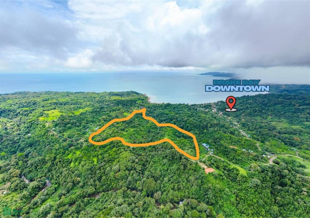 Land at Palmar