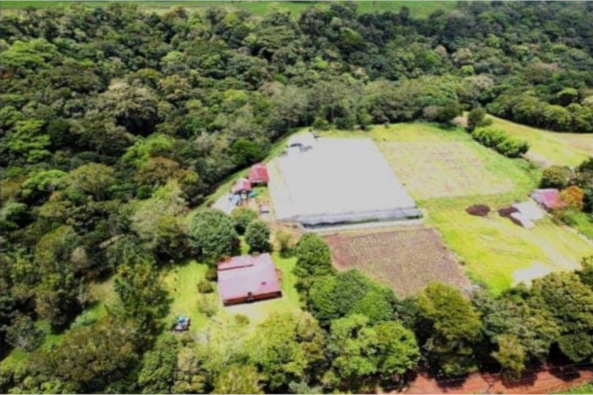 Estate at Alajuela