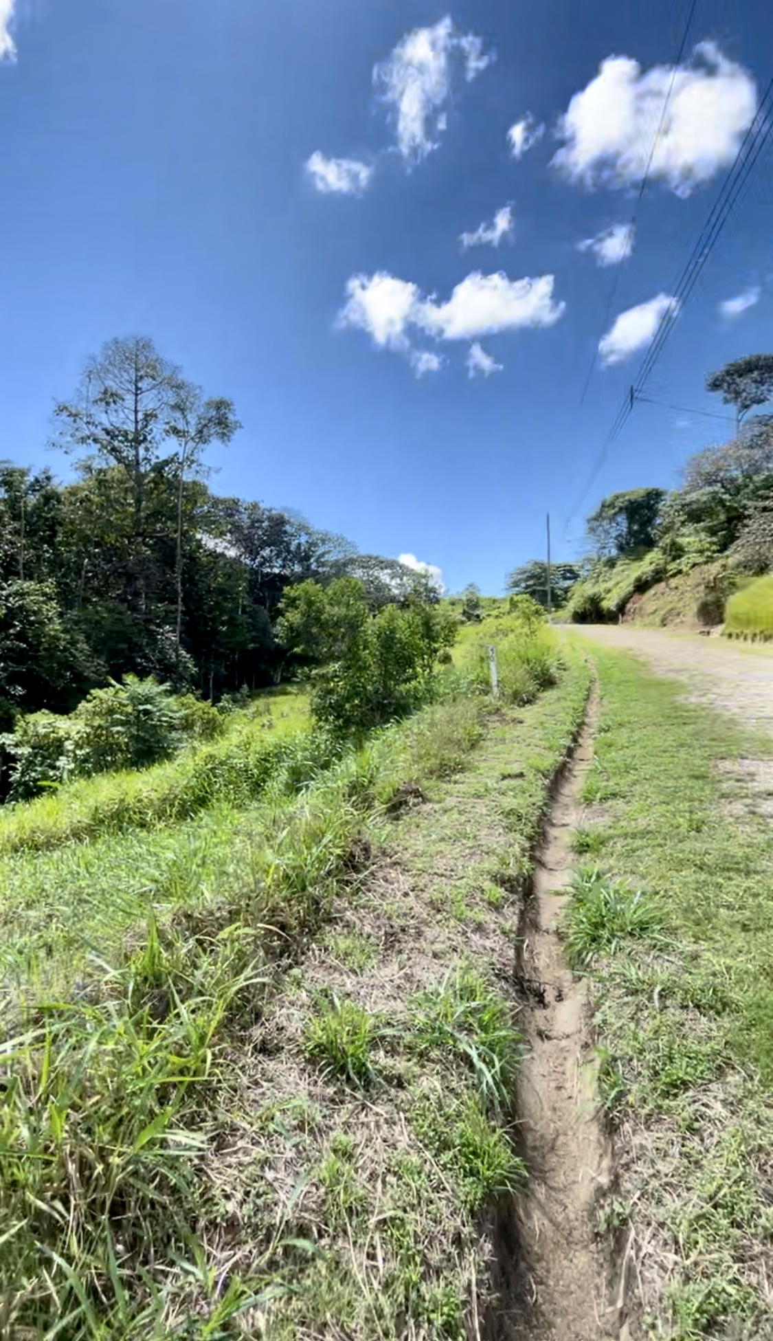 Land at Puerto Cortés