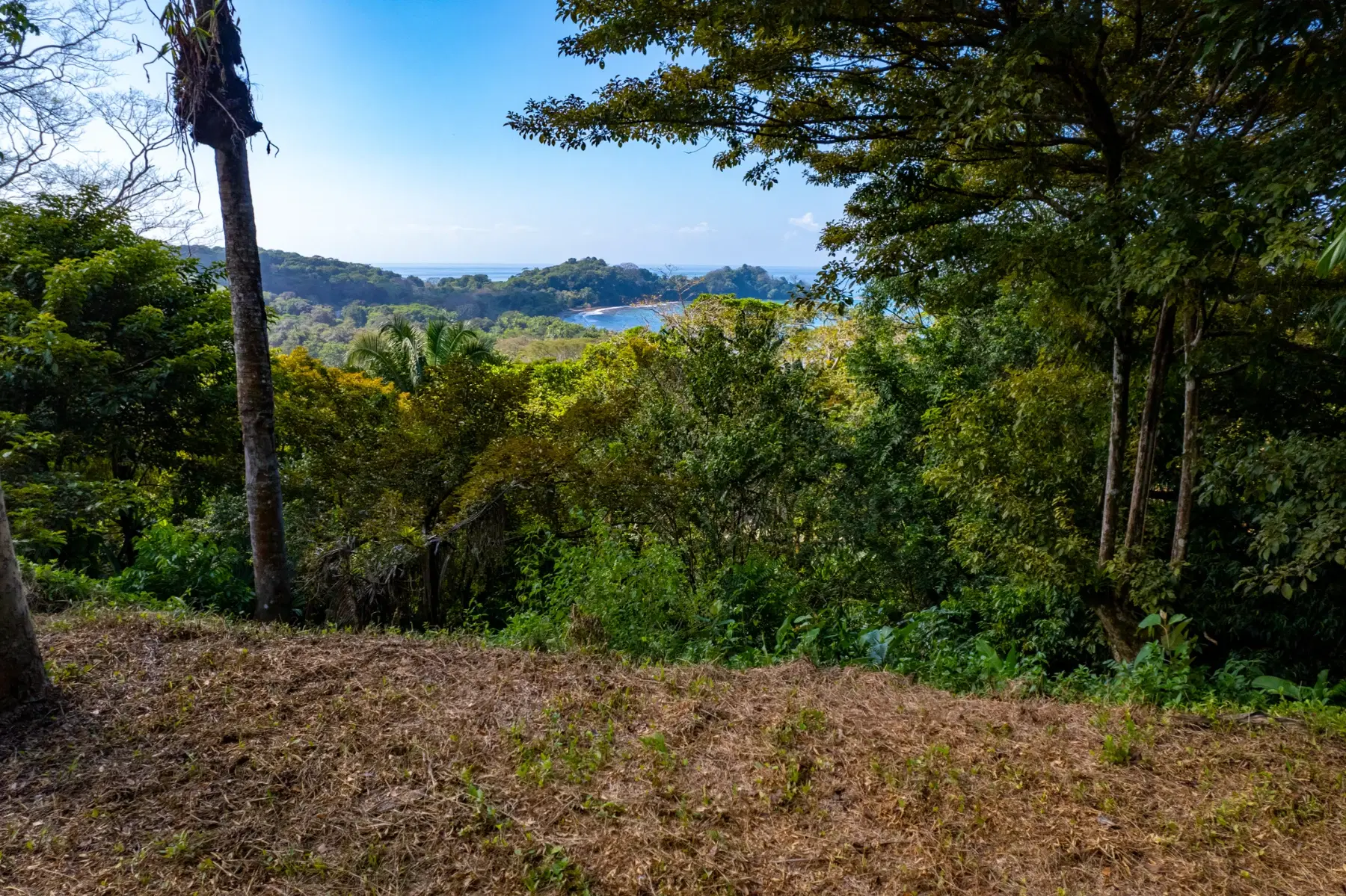 Comercial en Bahía Ballena
