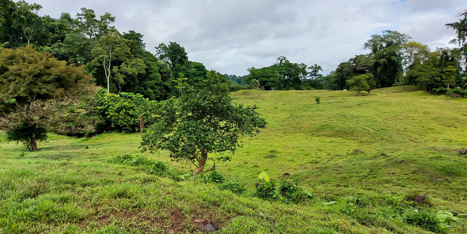 Property at Batán