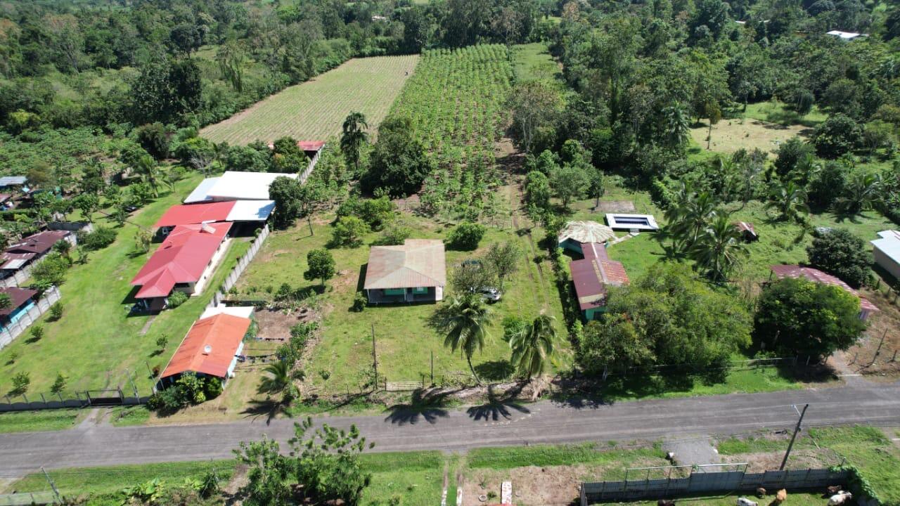 Property at Guácimo