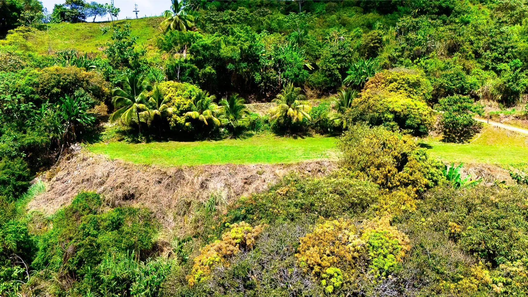Land at Puerto Cortés