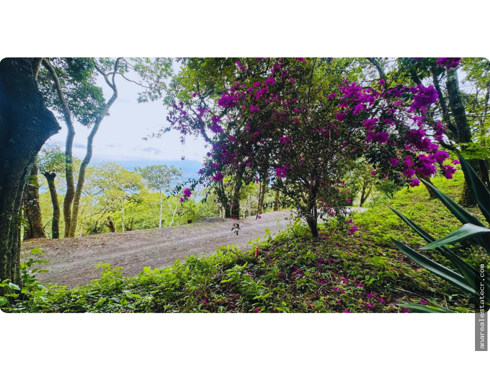 Terreno en Piedades