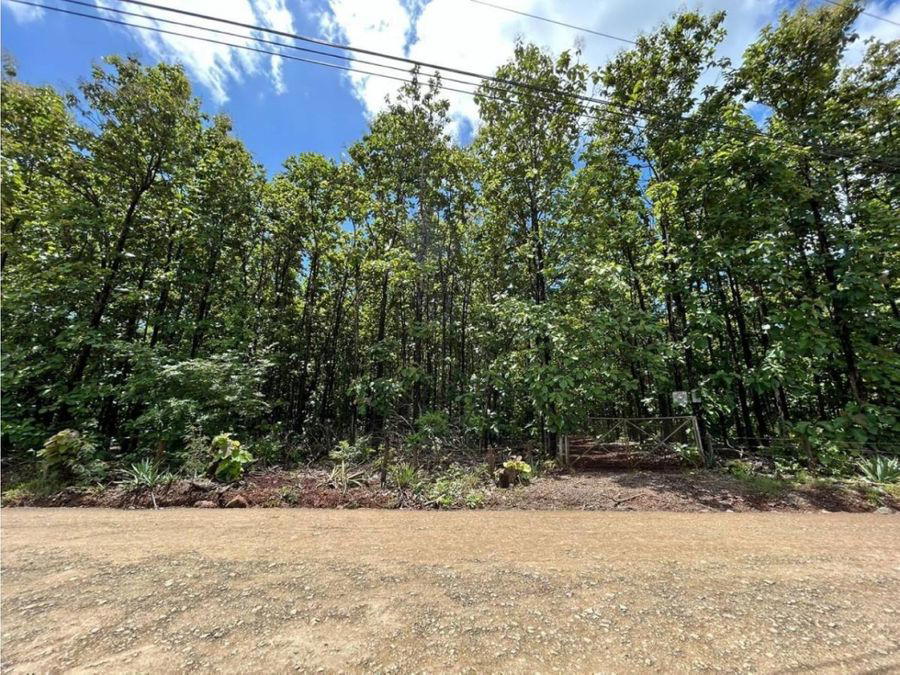 Terreno en Tamarindo