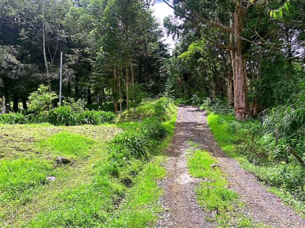 Property at Copey