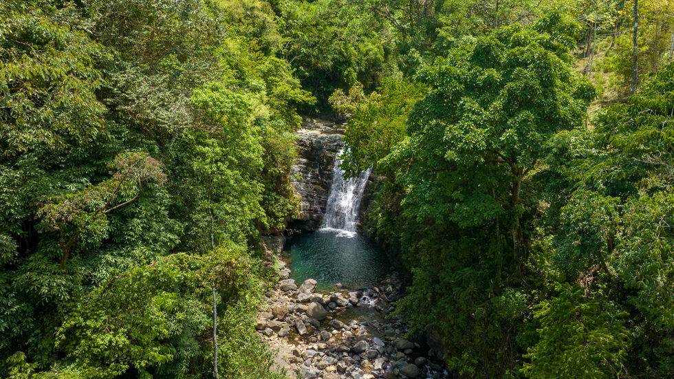Finca en Uvita