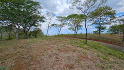 Venta