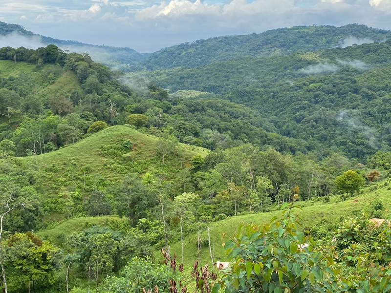 Terreno en Barú