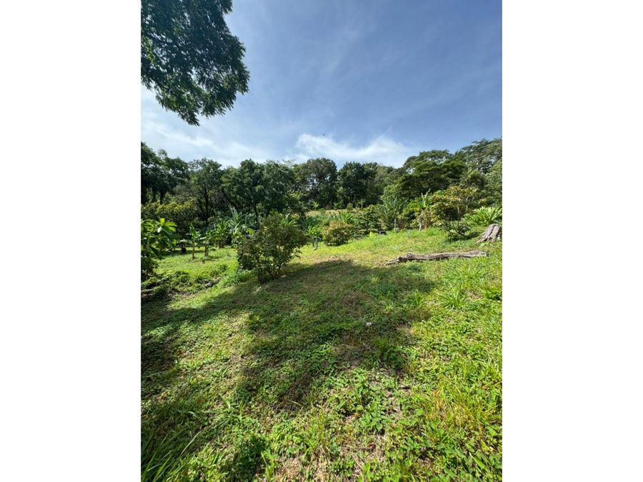 Finca en Macacona