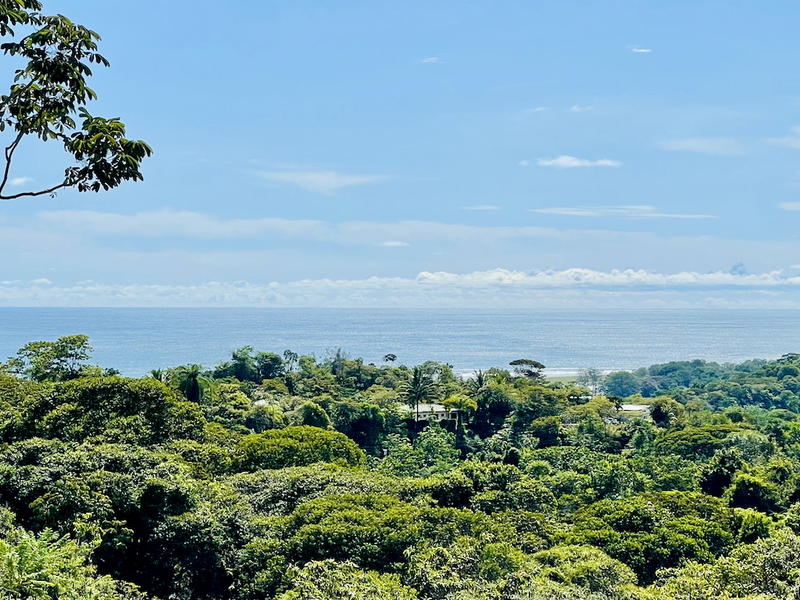 Property at Puerto Cortés