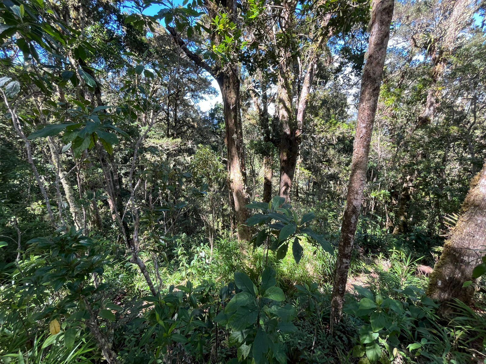 Property at Jardín