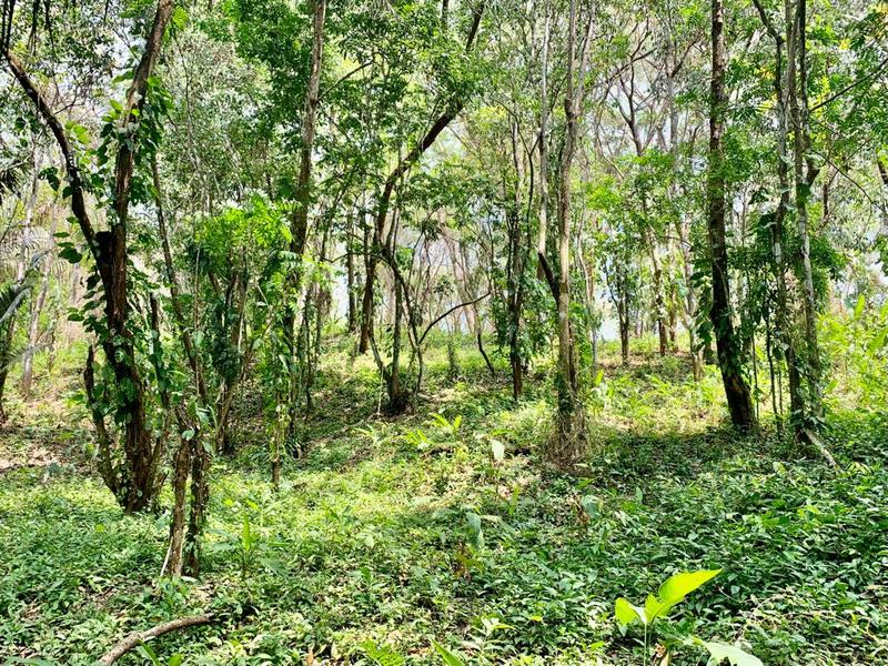 Terreno en Cóbano
