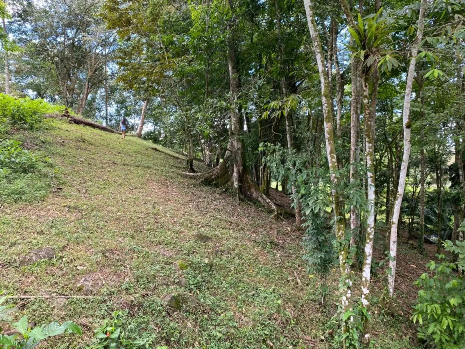 Comercial en Bahía Ballena