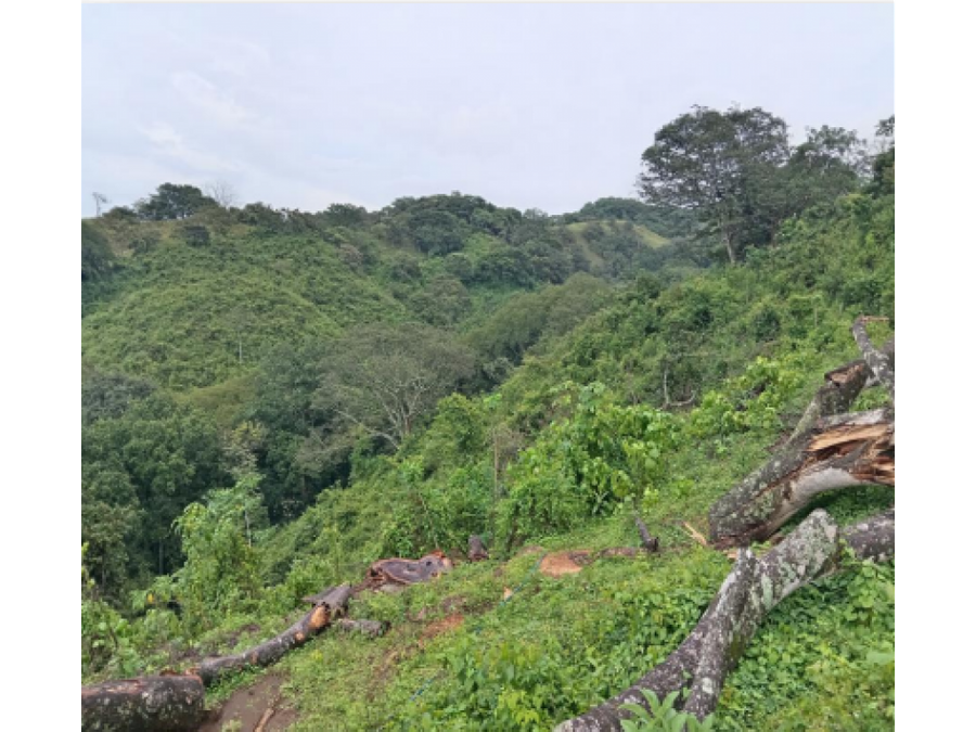Terreno en Turrúcares