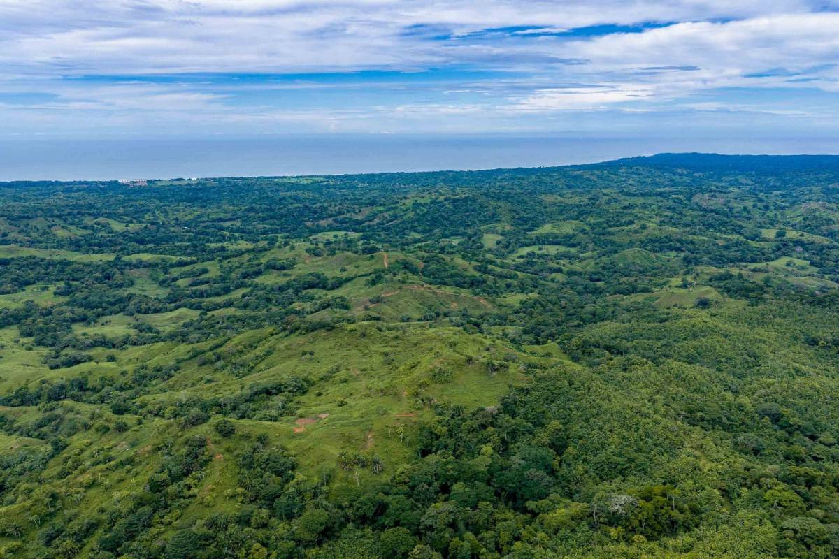 Property at Parrita