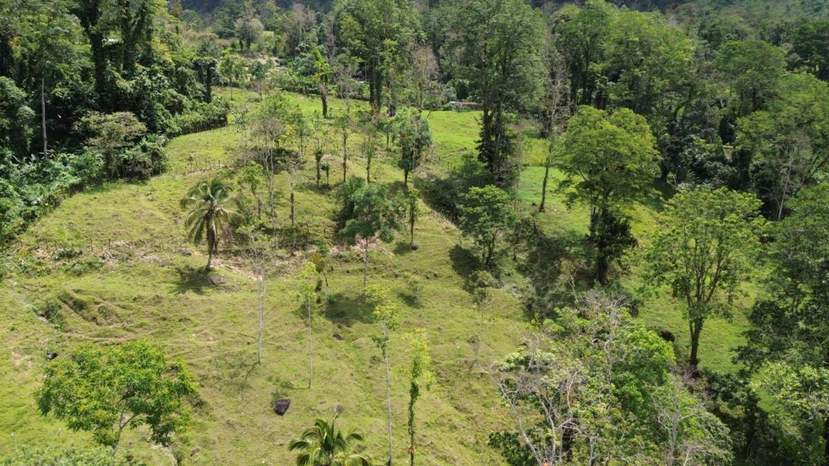 Finca en Santa Teresita