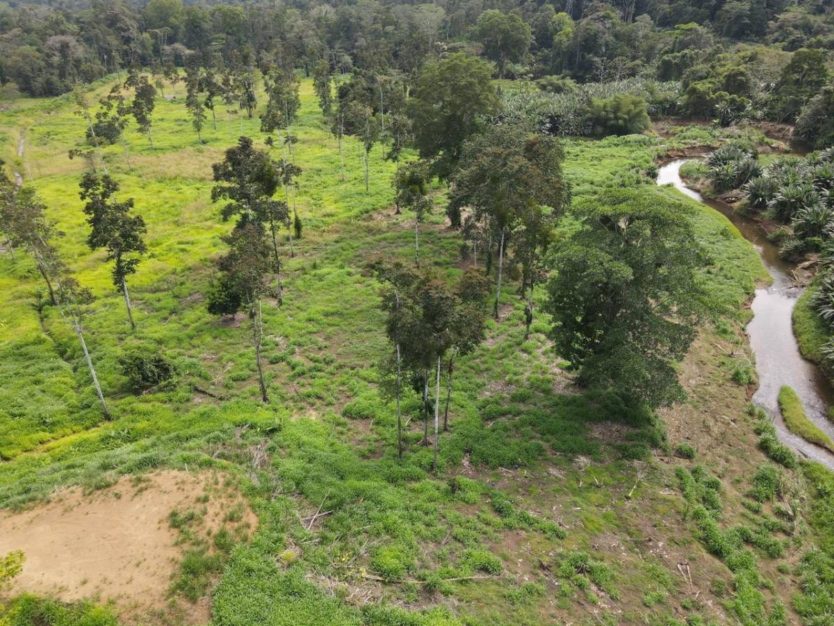 Finca en Hone Creek