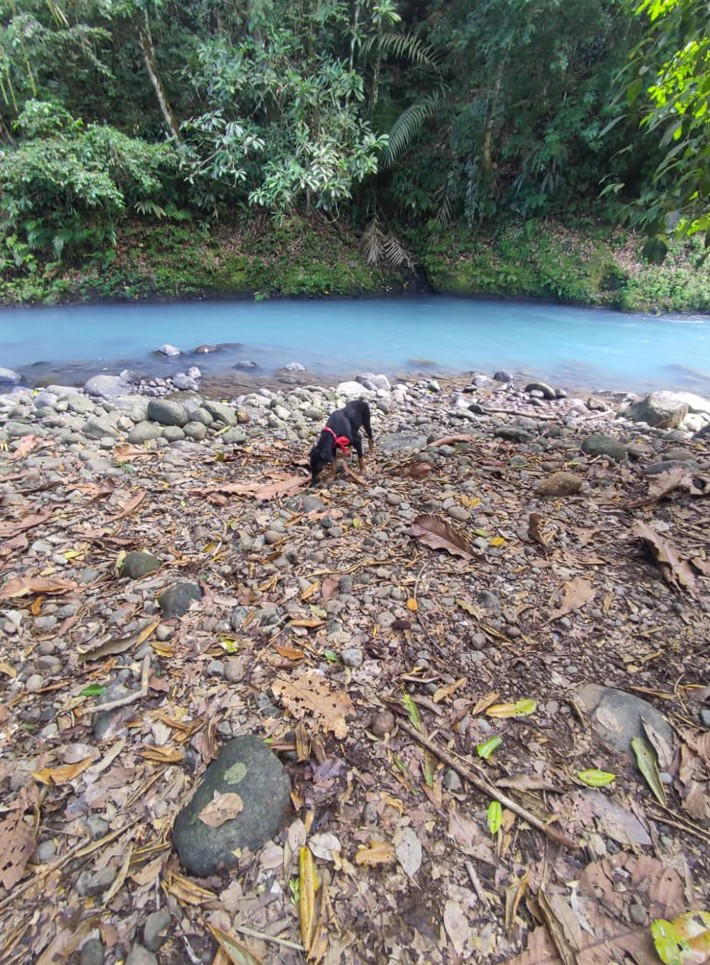 Finca en Buenavista