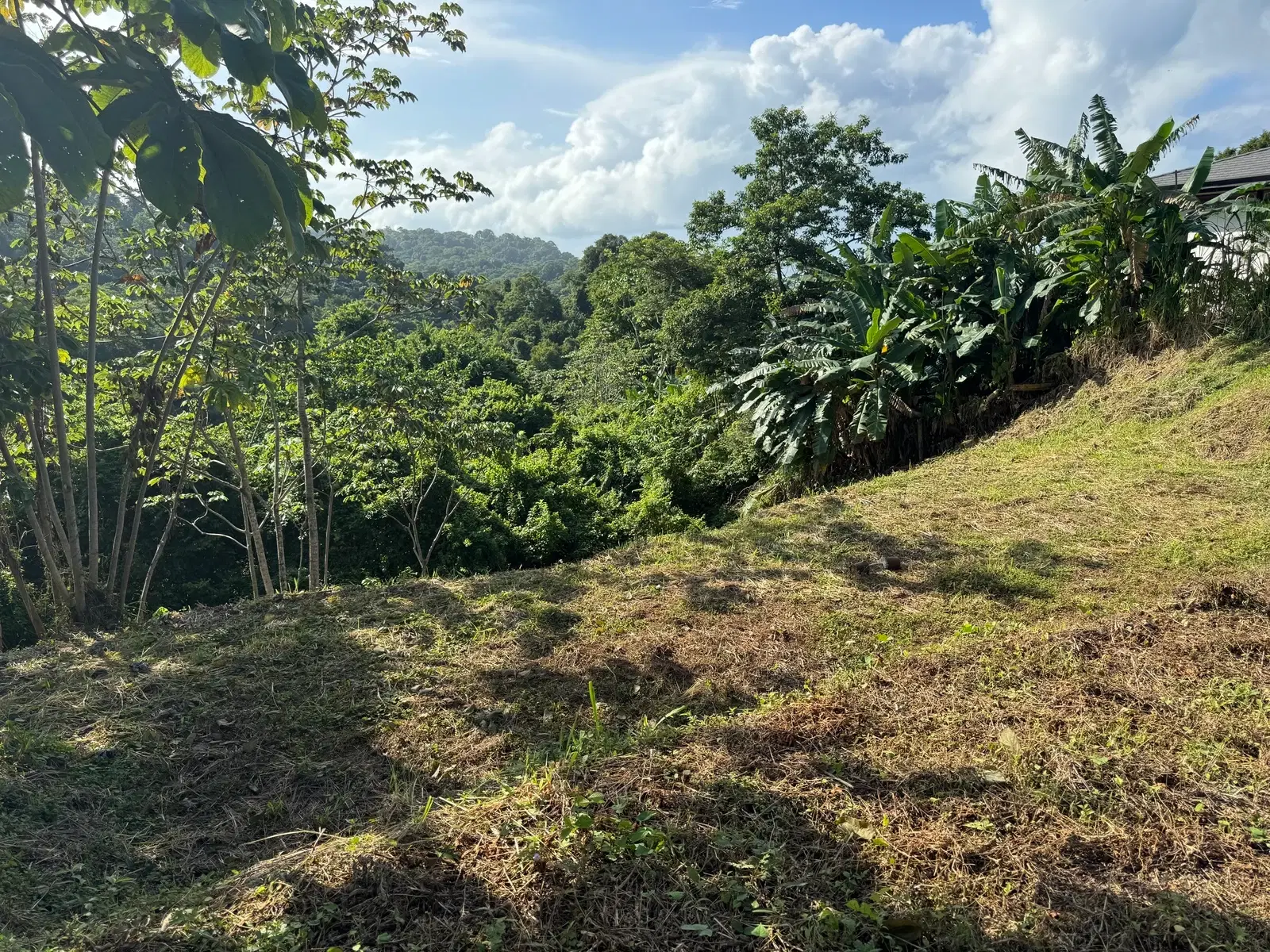 Terreno en Cóbano