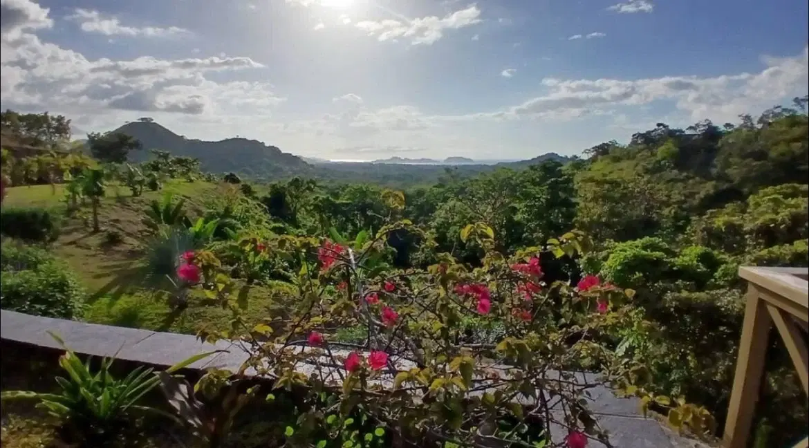 Propiedad en Tempate