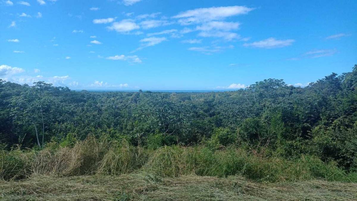 Property at Lagunillas