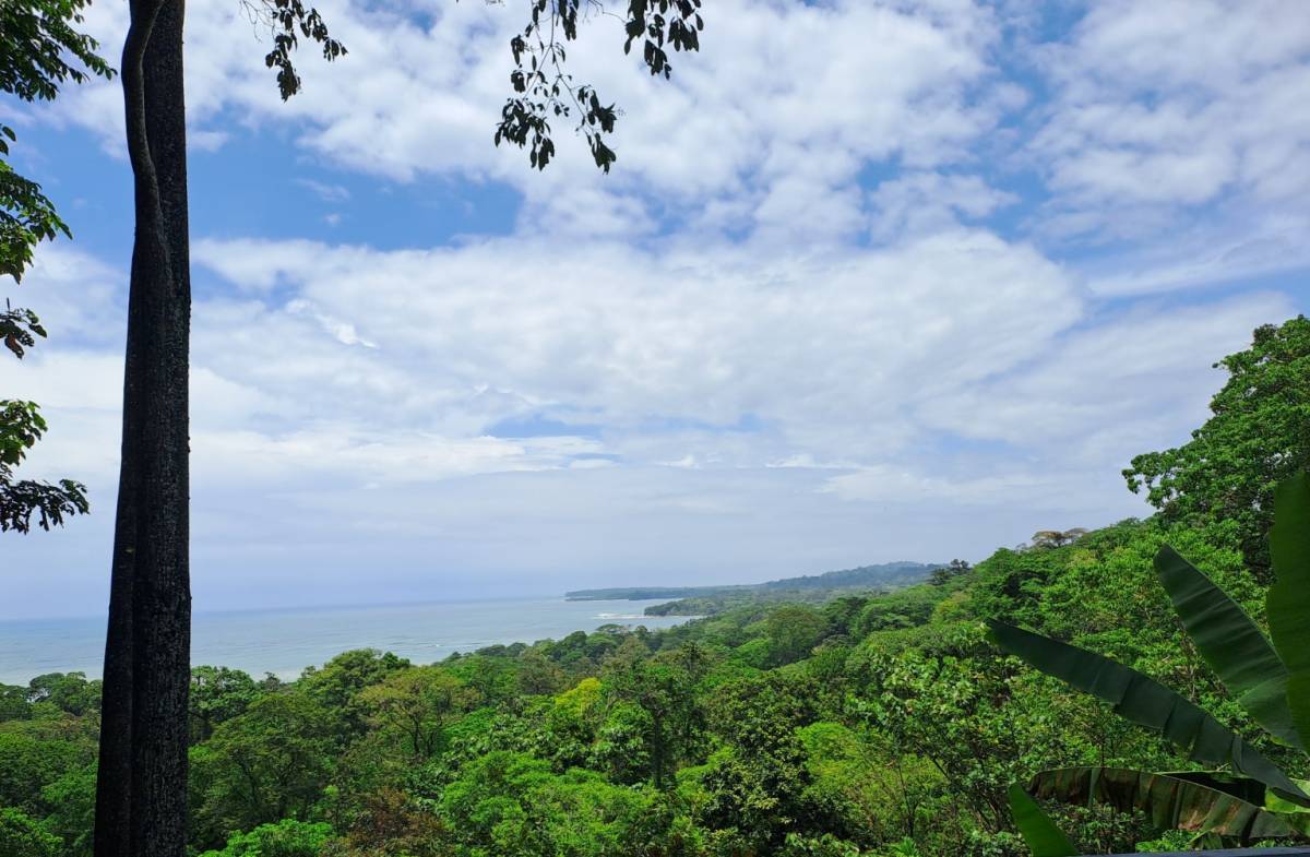 Property at Cocles