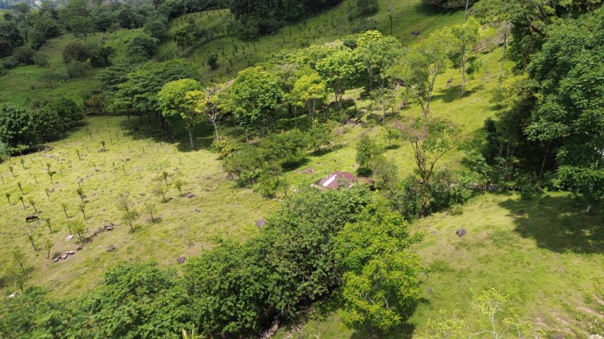 Finca en Santa Teresita