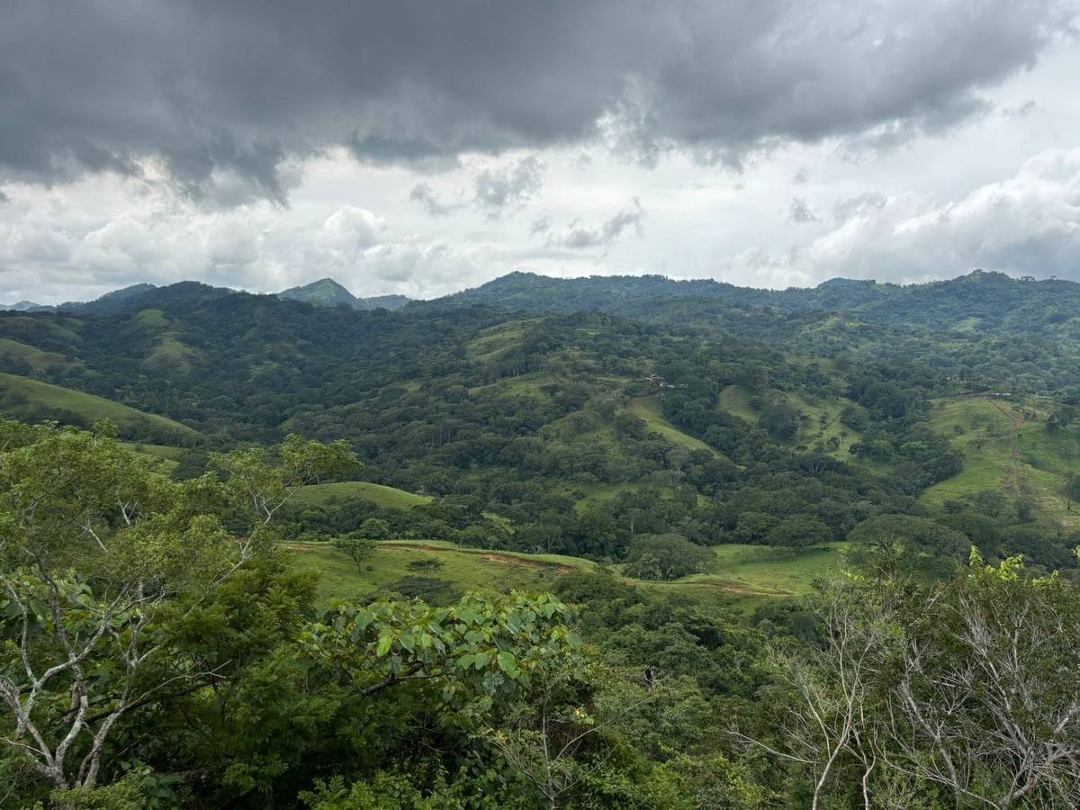 Finca en Colón