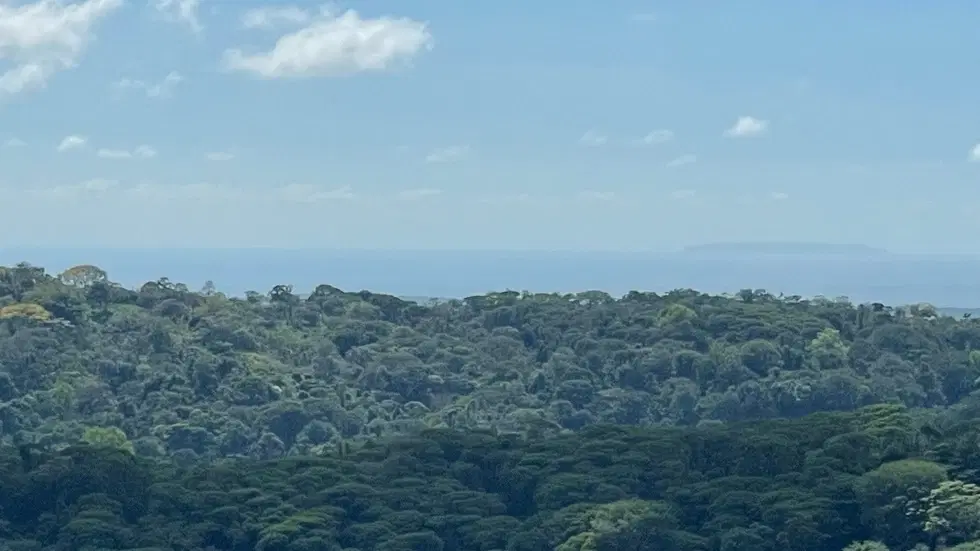 Terreno en Puerto Cortés