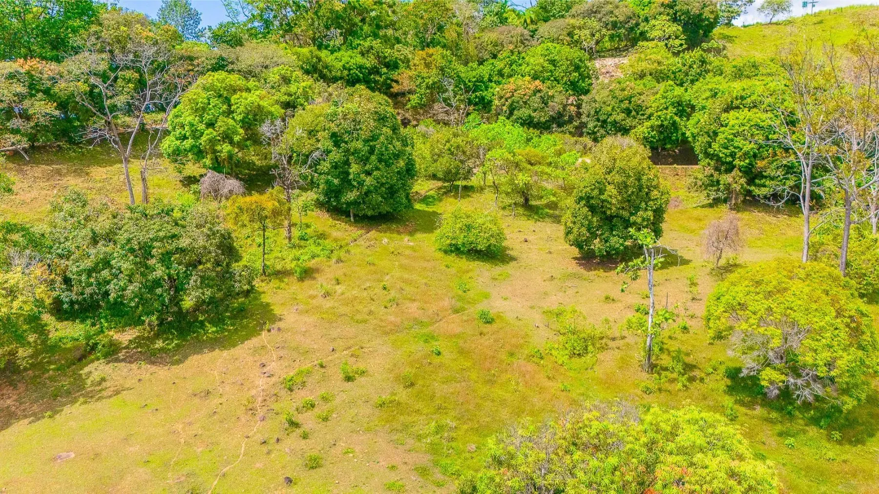 Land at Puerto Cortés