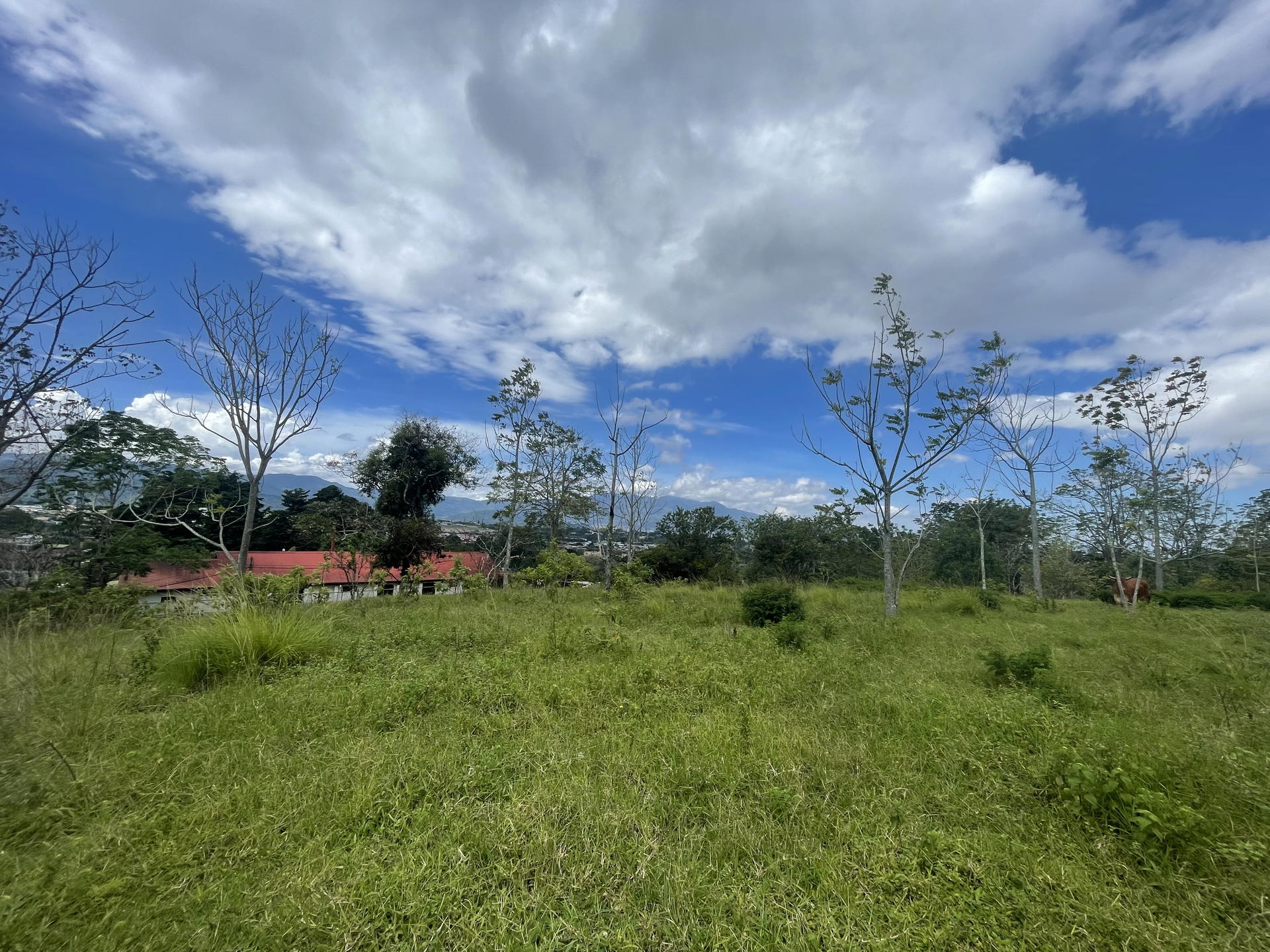 Venta de Lote para Desarrollo