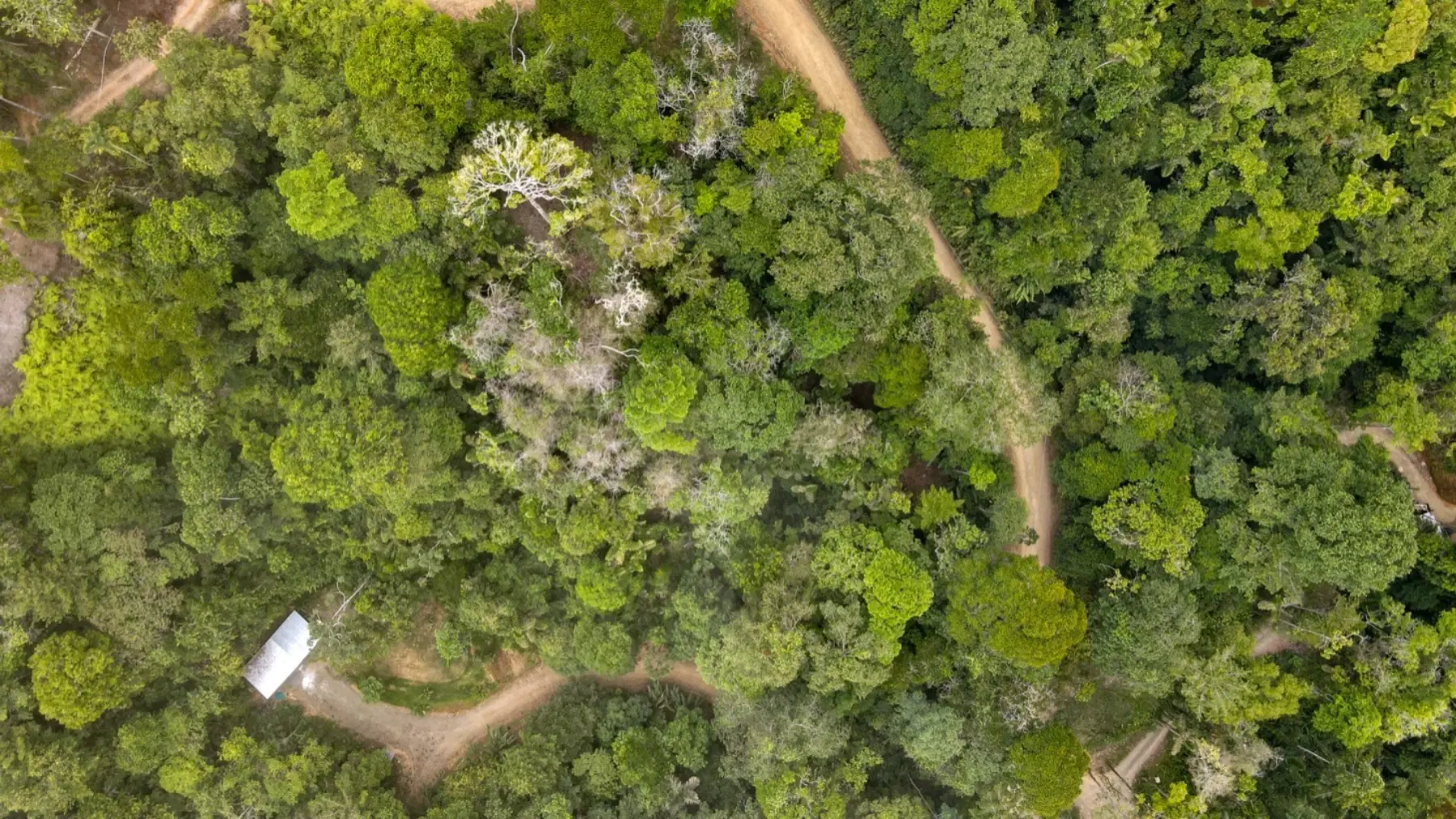 Terreno en Bahía Ballena