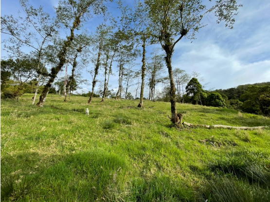 Property at Heredia