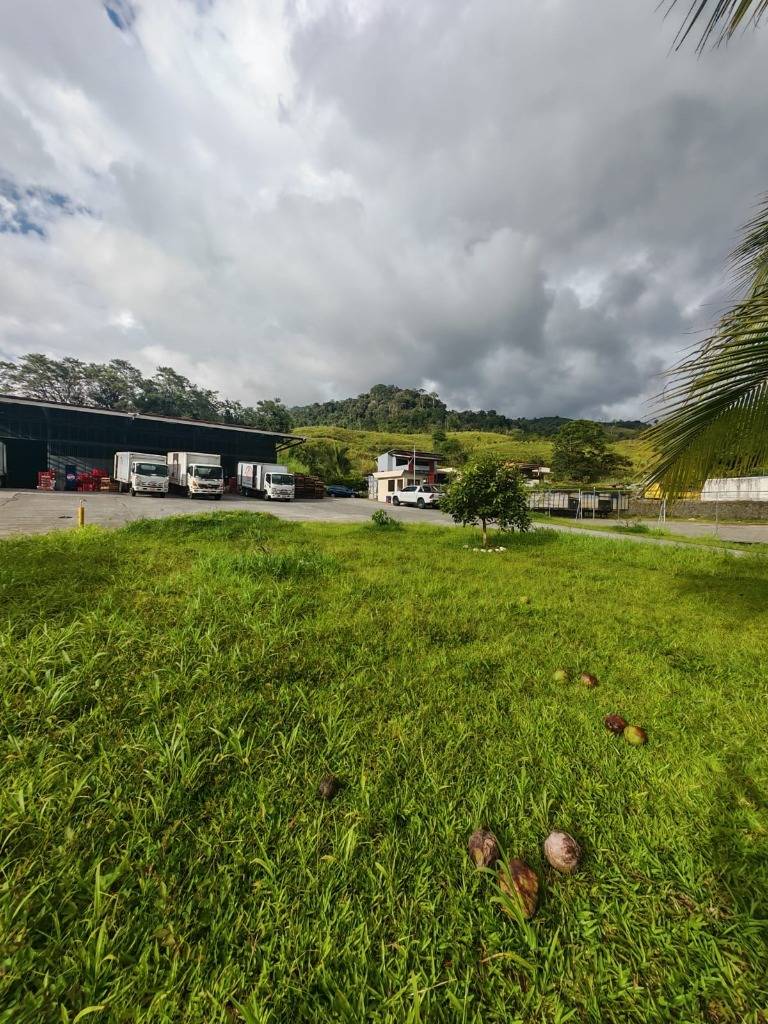 Commercial at Turrialba