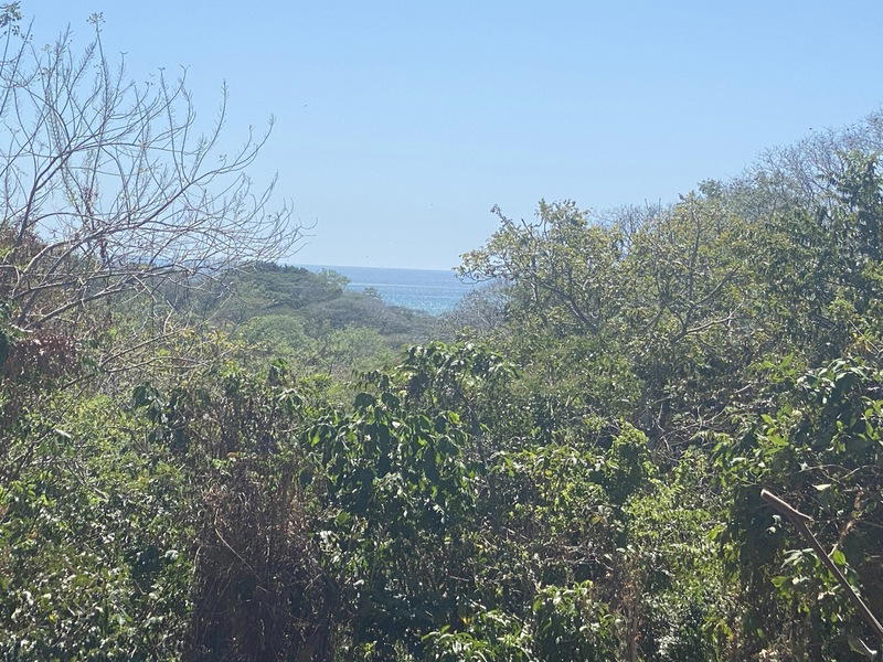 Land at Manzanillo