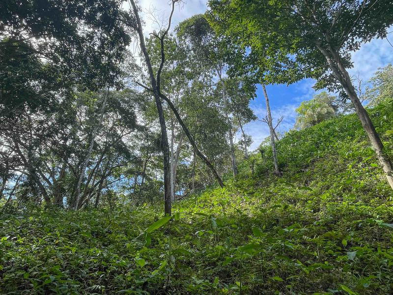 Land at Quepos