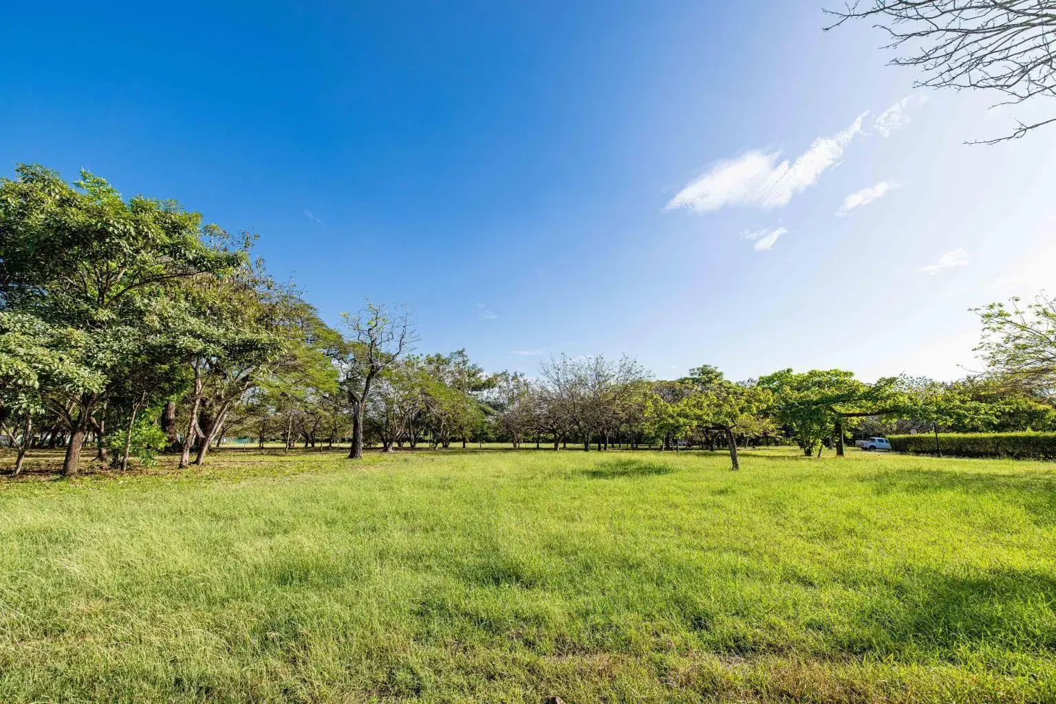 Terreno en Tamarindo